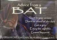 Your True Nature Magnet- Advice from a Bat